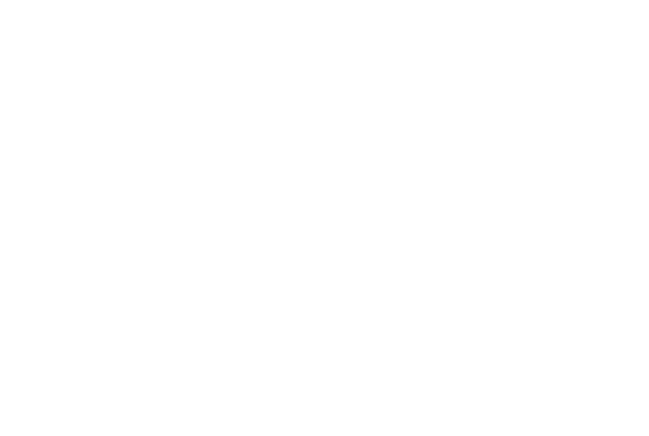 Mező Team logója